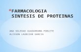 Sintesis de-proteinas