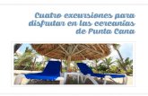 Cuatro excursiones para disfrutar en las cercanias de Punta Cana