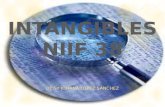 INTANGIBLES NIIF 38