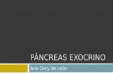 Patología de Páncreas