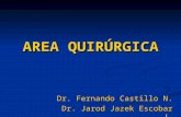 Area QuirúRgica