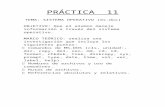 Practica 11 Informatica