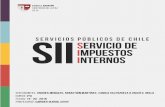 Informe Servicios Públicos de Chile: Servicio de Impuestos Internos