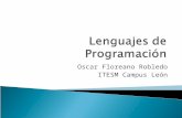 Lenguajes de  Programacion