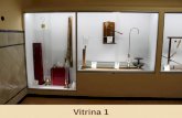 Vitrinas Exposición permanente - MUVIPA