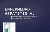 El hepatitis a