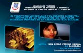 Presentacion sobre el territorio venezolano y el impacto ambiental por extraccion de oro. juan p. pereira medina