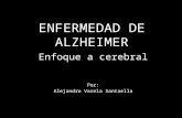 Alzheimer y cerebro
