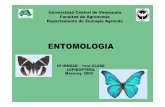 Entomologia  -3era_etapa_-_lepidoptera_2009