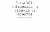 Portafolio introducción a gerencia de proyectos