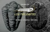 Los Trilobites