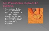Los Principales Cultivos En EspañA