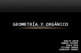 Geometria y Patrones orgánicos