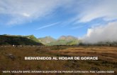 Grupo Orgánico de Agricultores Cerropunteños -GORACE-
