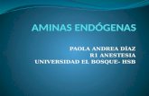 Aminas endógenas