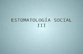 Protocolo area social III