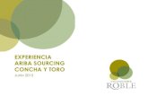 Concha y Toro Ariba Sourcing Referencia