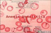 Anemia hemolitica