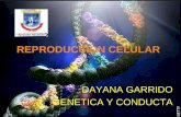 Tarea 3 genetica reproduccion celular dayanagarrido