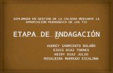 ETAPA DE INDAGACIÓN PROYECTO DE INVESTIGACIÓN IEB
