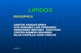 Lipidos 2 presentacion