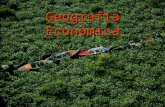 Geografía Económica (Jorge F)