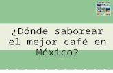 Donde saborear el mejor cafe en Mexico