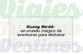 Disney World: un mundo magico de aventuras para disfrutar