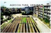 Agricultura Urbana Grupo 3