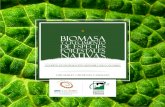 Biomasa y crecimiento de especies forestales nativas
