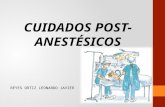 Cuidados Post anestésicos (Leonardo Reyes O)
