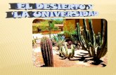 La universidad y el desierto