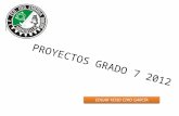 Proyectos grado 7 g 2012