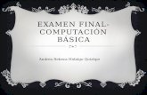 Examen final -  computación básica