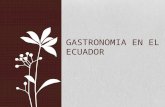 Gastronomia en el ecuador
