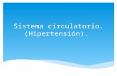 Sistema circulatorio e Hipertensión