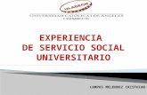 Servicio Social - AA.HH Villa Victoria.