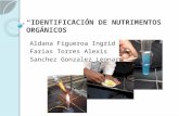Practica 7 IDENTIFICACION DE NUTRIMENTOS ORGANICOS