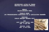 Procedimientos especiales Luis Carlos Zapata y Marixel Ledezma