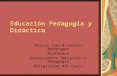 2005 02-07 educacion-pedagogia-didactica