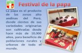 Festival De La Papa