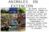 Animales  en  extinción