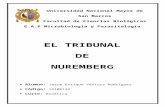 El tribunal de Núremberg (Resumen)