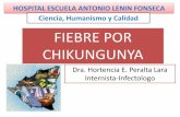 Presentacion de chikungunya