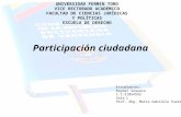 presentacion tema 8y 10 de participacion ciudadana y gestion local