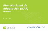 ¿Qué es un NAP? (Plan Nacional de Adaptación)