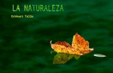 Naturaleza - Eckhart Tolle
