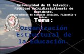 Organización Estructural de la Educación