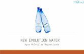 New Evolution Water, Agua Magnetizada: fuente de salud y de riqueza