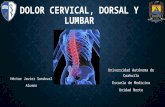 Dolor Cervical, Vertebral y Lumbar